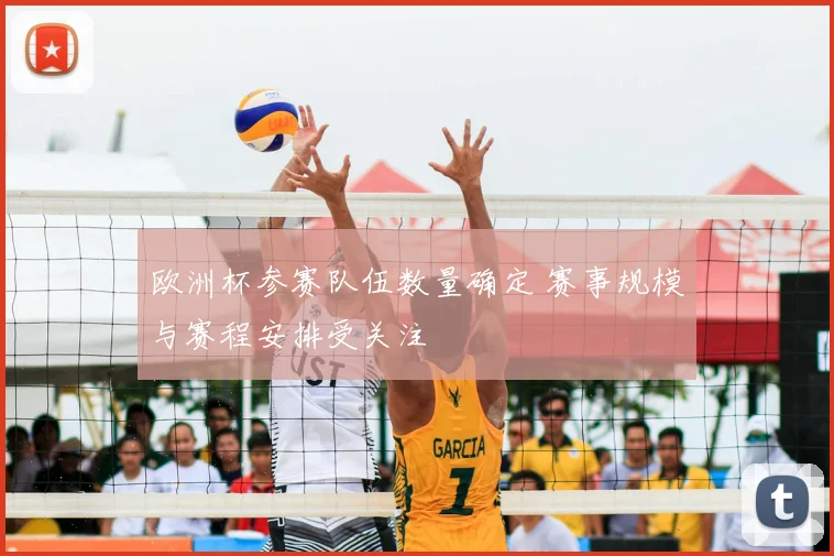 欧洲杯参赛队伍数量确定 赛事规模与赛程安排受关注