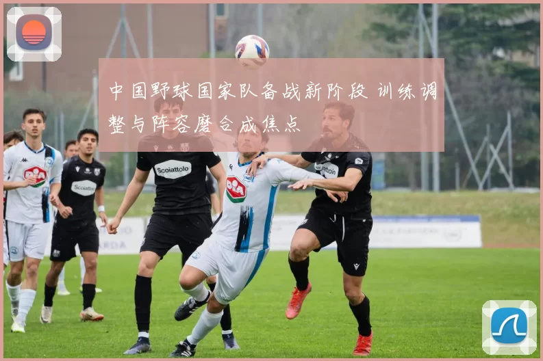 中国野球国家队备战新阶段 训练调整与阵容磨合成焦点